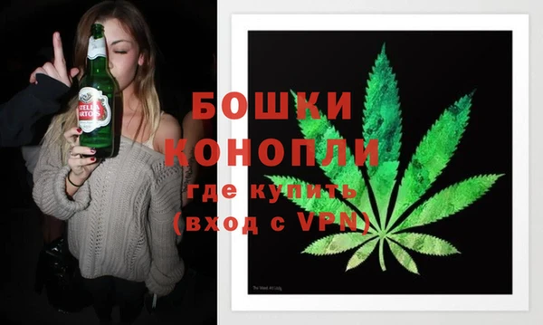 индика Белоозёрский