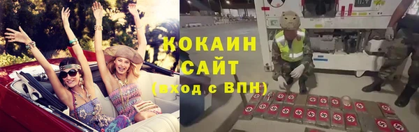 индика Белоозёрский