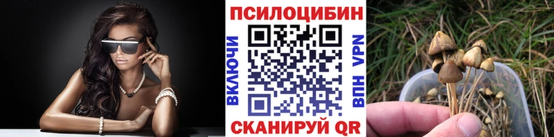 Псилоцибиновые грибы GOLDEN TEACHER Кореновск